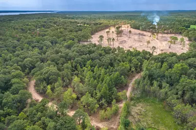 Tract 1 - Tbd County Road 4307 Road, LaRue, TX 75770 - Photo 15