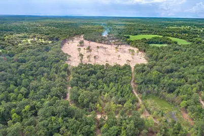 Tract 1 - Tbd County Road 4307 Road, LaRue, TX 75770 - Photo 15