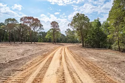 Tract 1 - Tbd County Road 4307 Road, LaRue, TX 75770 - Photo 5