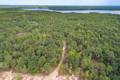 Tract 1 - Tbd County Road 4307 Road, LaRue, TX 75770 - Photo 13