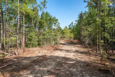 Tract 2 - Tbd County Road 4307 Road, LaRue, TX 75770 - Photo 7