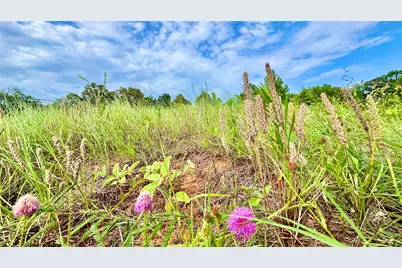 1007 County Road 1226, Quitman, TX 75783 - Photo 11