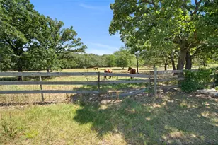 14643 Co Rd 4060, Scurry, TX 75158 - Photo 29