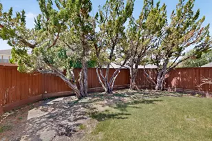 10201 Max Ln, Frisco, TX 75035 - Photo 33