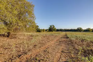 51 Cattle Trail Trail, Palo Pinto, TX 76484 - Photo 21