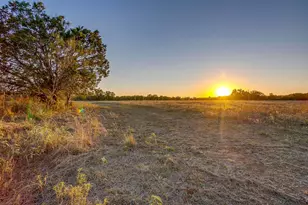 51 Cattle Trail Trail, Palo Pinto, TX 76484 - Photo 23