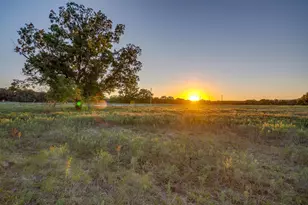51 Cattle Trail Trail, Palo Pinto, TX 76484 - Photo 7