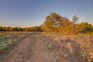 51 Cattle Trail Trail, Palo Pinto, TX 76484 - Photo 25