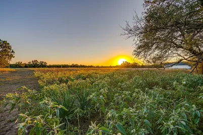 51 Cattle Trail Trail, Palo Pinto, TX 76484 - Photo 9