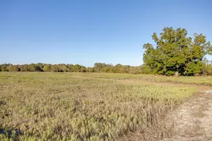 51 Cattle Trail Trail, Palo Pinto, TX 76484 - Photo 19