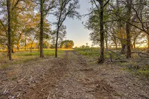 51 Cattle Trail Trail, Palo Pinto, TX 76484 - Photo 11