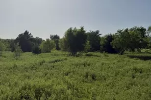 387 Private Rd 1452, Chico, TX 76431 - Photo 15