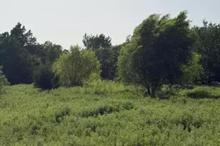 387 Private Rd 1452, Chico, TX 76431 - Photo 17