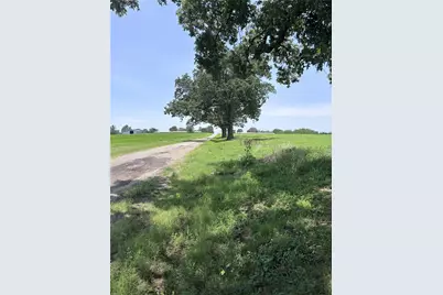 Lot 3 County Road 3358, Saltillo, TX 75478 - Photo 3