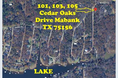 105 Cedar Oaks Drive, Mabank, TX 75156 - Photo 1