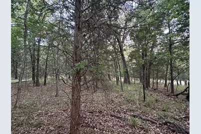 105 Cedar Oaks Drive, Mabank, TX 75156 - Photo 11