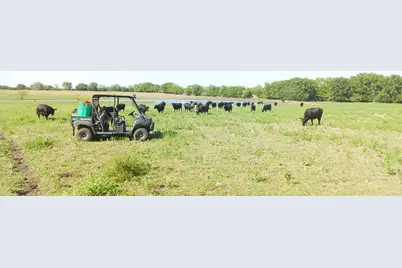 Tbd County Road 1222, Deport, TX 75435 - Photo 13