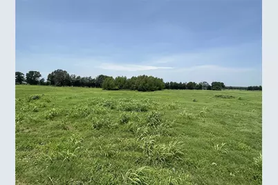 Tract B County Road 3356, Saltillo, TX 75478 - Photo 5