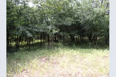 4188 Willow Oak Bend, Royse City, TX 75189 - Photo 11