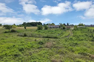 1528 County Rd 697, Farmersville, TX 75442 - Photo 15