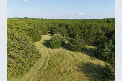 654 N Fm 36 #Lot 4, Greenville, TX 75401 - Photo 25
