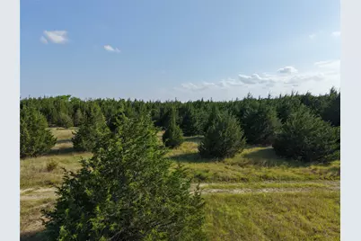 654 N Fm 36 #Lot 4, Greenville, TX 75401 - Photo 19