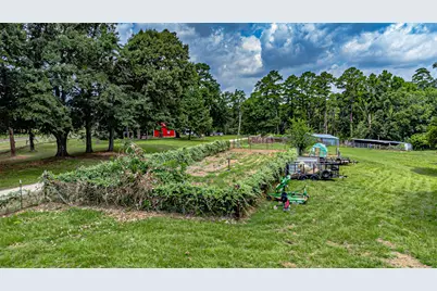 10927 Fm 1615, Athens, TX 75752 - Photo 15