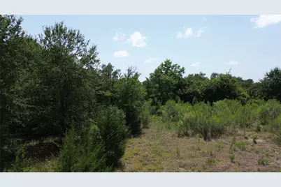 Tbd Cr 660, Teague, TX 75860 - Photo 13