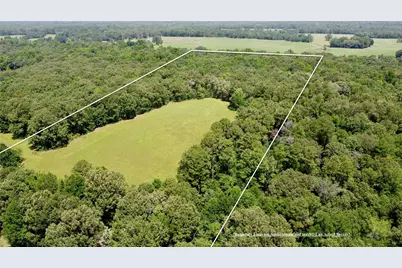 Tract 2 Cr 44400, Powderly, TX 75473 - Photo 5