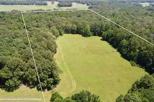 Tract 2 Cr 44400, Powderly, TX 75473 - Photo 1