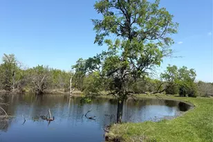 Tbd 70Ac Cr 4744, Sulphur Springs, TX 75482 - Photo 1