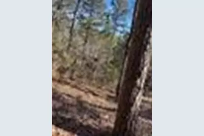 [Address not provided], Winnsboro, TX 75494 - Photo 7