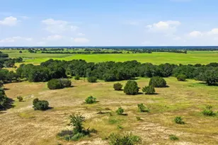 2110 Co Rd 362, Desdemona, TX 76445 - Photo 15