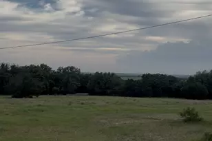 2110 Co Rd 362, Desdemona, TX 76445 - Photo 27