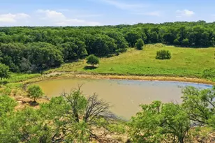 2110 Co Rd 362, Desdemona, TX 76445 - Photo 23