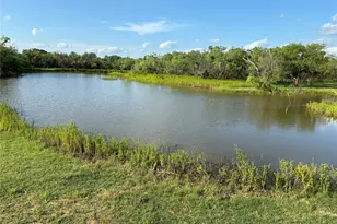 2110 Co Rd 362, Desdemona, TX 76445 - Photo 13