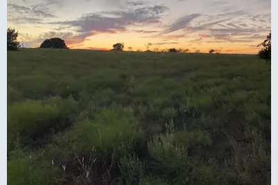 2110 County Road 362, Desdemona, TX 76445 - Photo 3