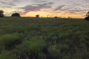 2110 Co Rd 362, Desdemona, TX 76445 - Photo 3