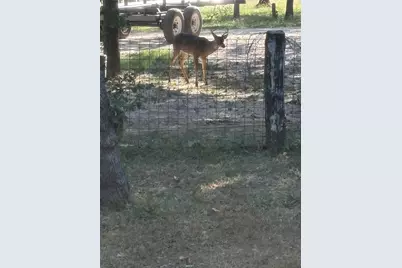 2110 County Road 362, Desdemona, TX 76445 - Photo 29