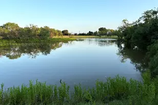 2110 Co Rd 362, Desdemona, TX 76445 - Photo 3