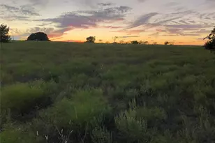 2110 Co Rd 362, Desdemona, TX 76445 - Photo 31