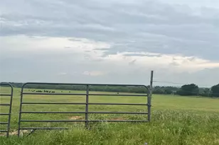 2110 Co Rd 362, Desdemona, TX 76445 - Photo 21