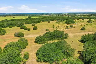 2110 Co Rd 362, Desdemona, TX 76445 - Photo 13