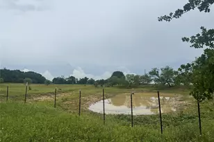 2110 Co Rd 362, Desdemona, TX 76445 - Photo 15