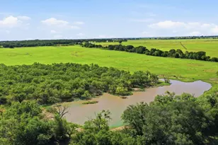 2110 Co Rd 362, Desdemona, TX 76445 - Photo 19