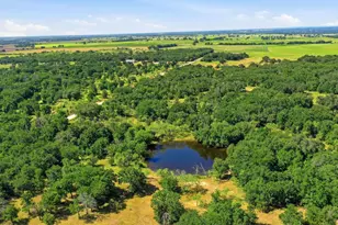 2110 Co Rd 362, Desdemona, TX 76445 - Photo 11