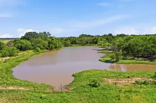2110 Co Rd 362, Desdemona, TX 76445 - Photo 21