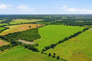 2110 Co Rd 362, Desdemona, TX 76445 - Photo 37