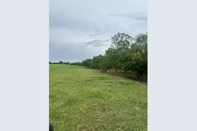 2110 County Road 362, Desdemona, TX 76445 - Photo 19