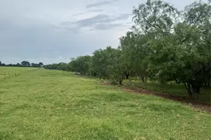 2110 Co Rd 362, Desdemona, TX 76445 - Photo 19